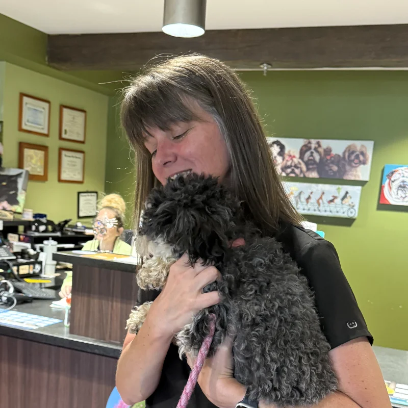 We cuddle pets at the Arlington Animal Clinic.