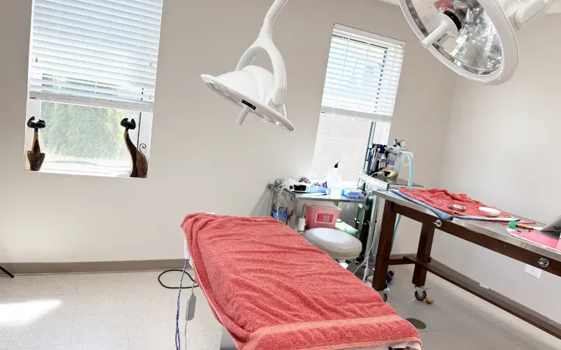 Surgical room at Arlington Animal Clinic.