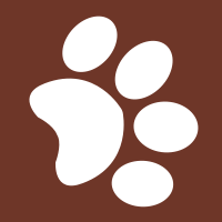 Paw Print Icon